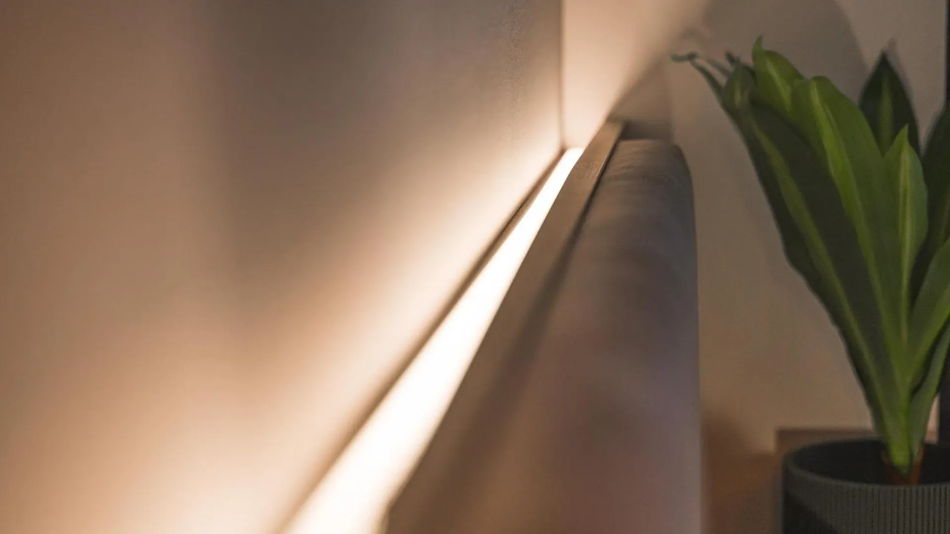 Jungle No5 Boutique Hotel - Stuttgart City-Center